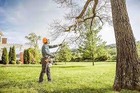 Westminster, SC  Tree Services Company